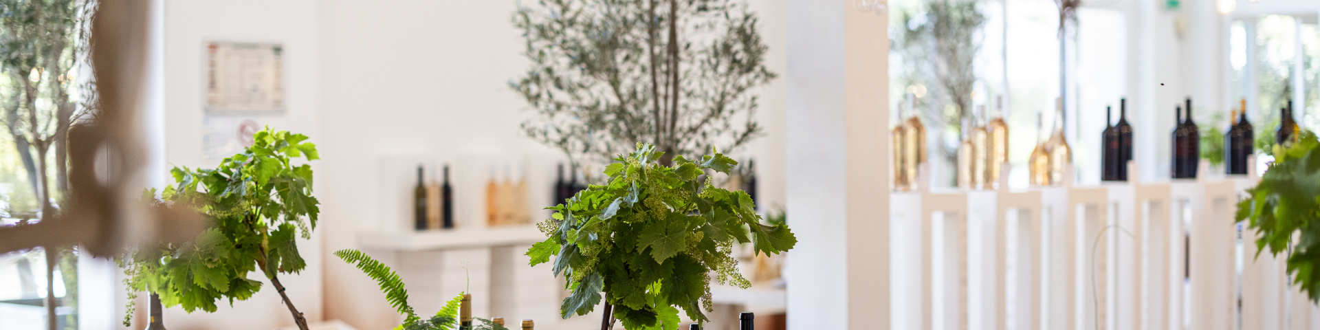 Boutique du Domaine