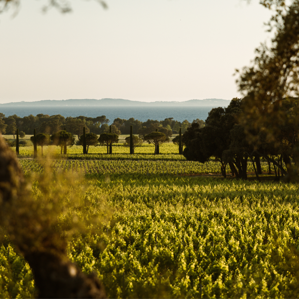 vue-domaine-leoube