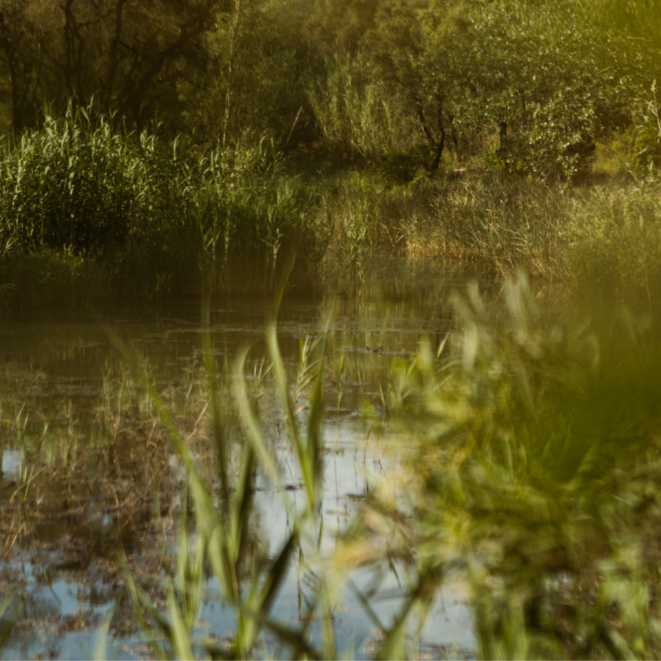 retenue-deau-domaine-leoube