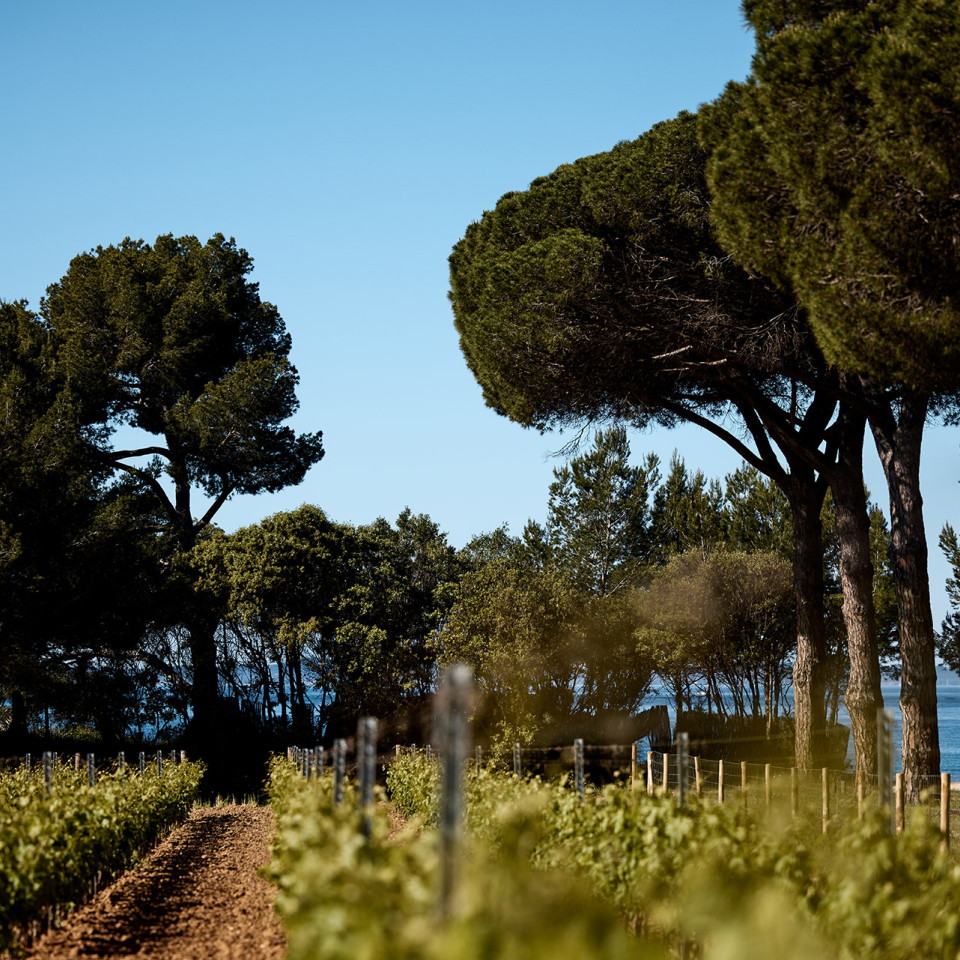 galerie-photos-domaine-leoube-10