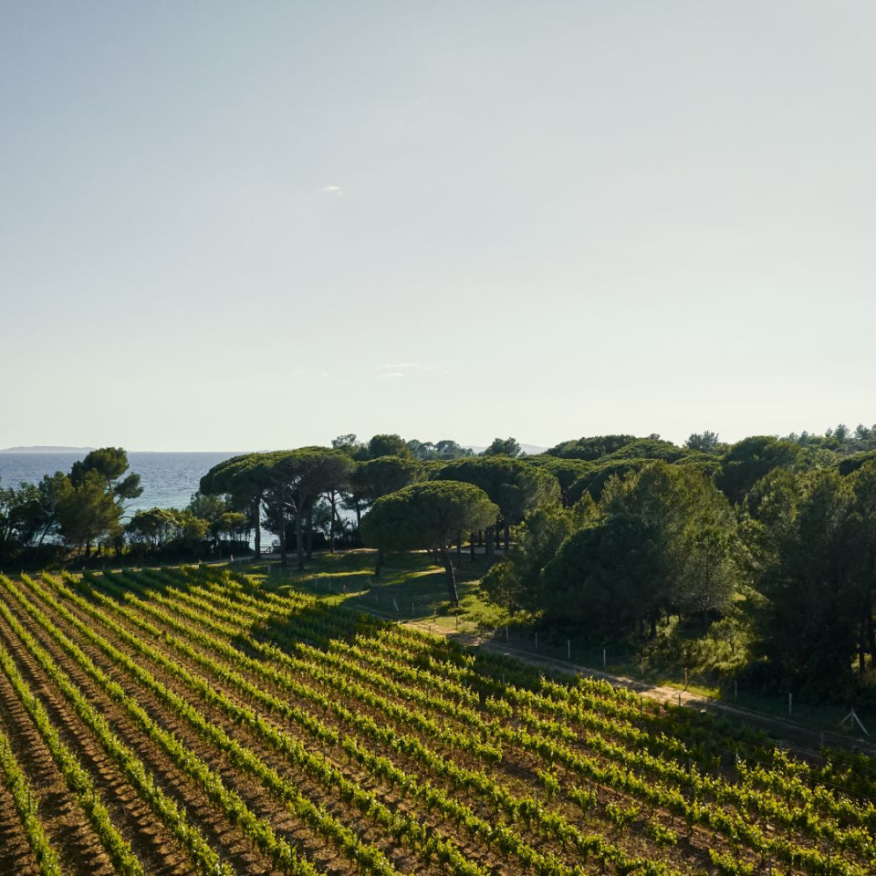 galerie-photos-domaine-leoube-2