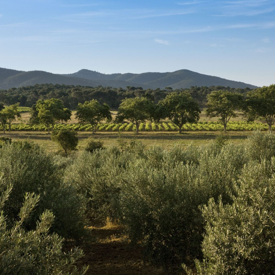 galerie-photos-domaine-leoube-5