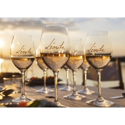 RIEDEL TASTING GLASSES