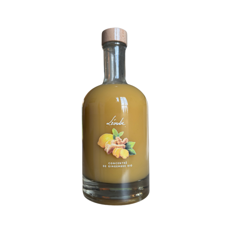 Organic Ginger Concentrate