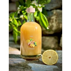 Organic Ginger Concentrate