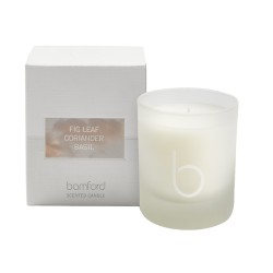 FIG LEAF - CANDLE