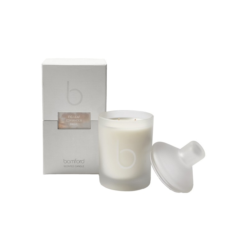 FIG LEAF - CANDLE