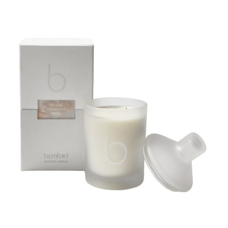 FIG LEAF - CANDLE